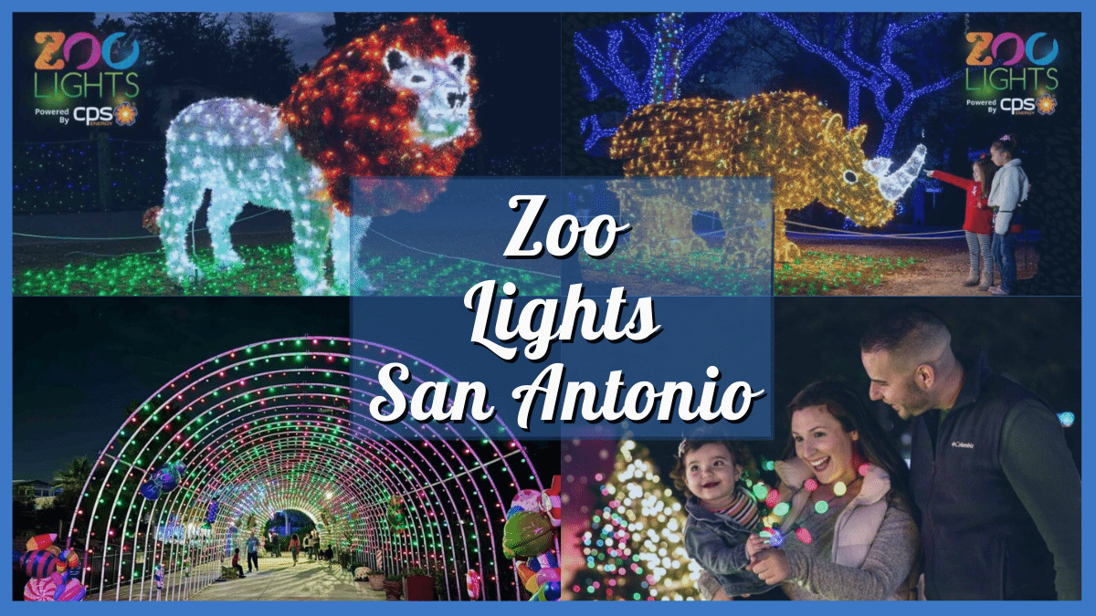San Antonio Zoo Lights 2023