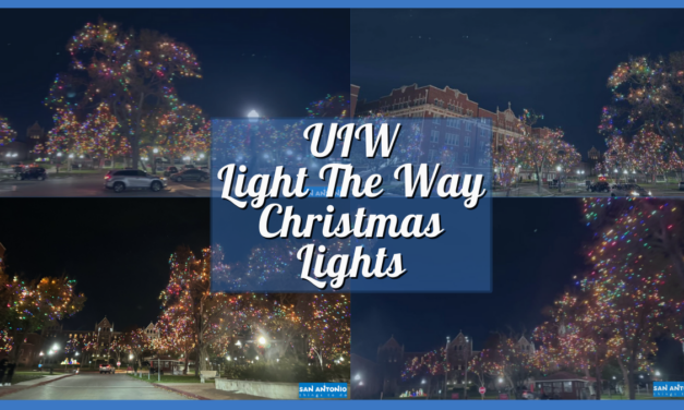 UIW Light The Way 2023 Festival in San Antonio – Your Guide to Incarnate Word Christmas Lights