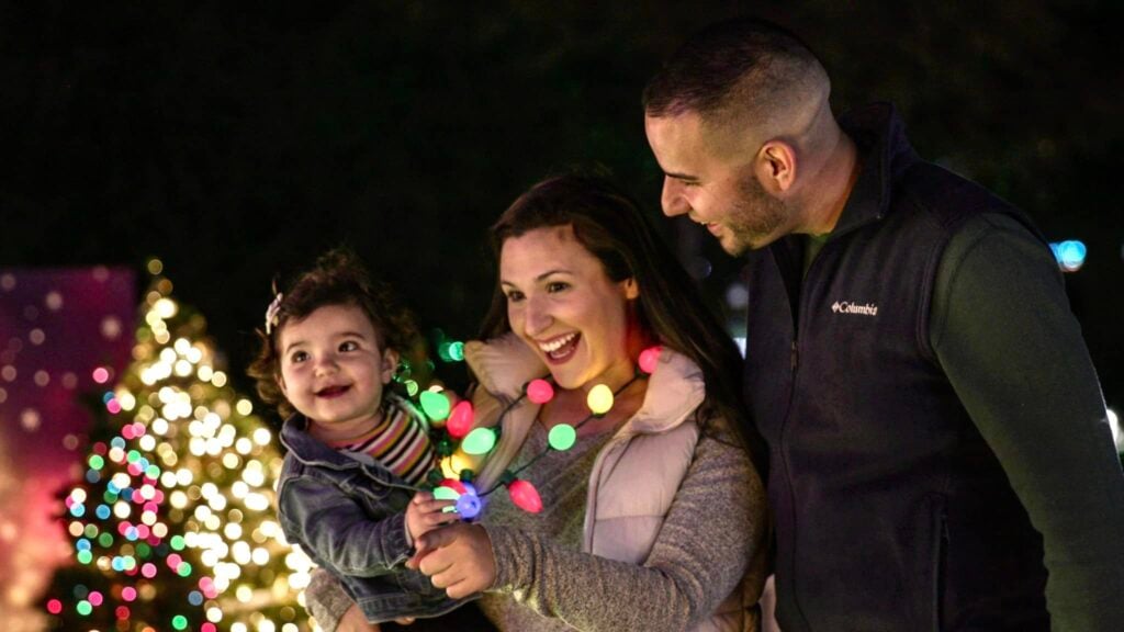 Fall Nights, Fiesta Lights: Best November 2025 Events in San Antonio for Adults 20 November 2025 events in Houston for adults - san antonio zoo lights