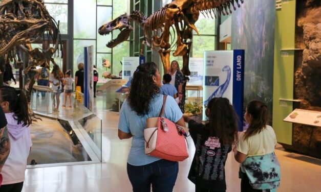 San Antonio Museums – List of 10 Best Attractions including Art, Science, Interactive, Children’s Museums & more!