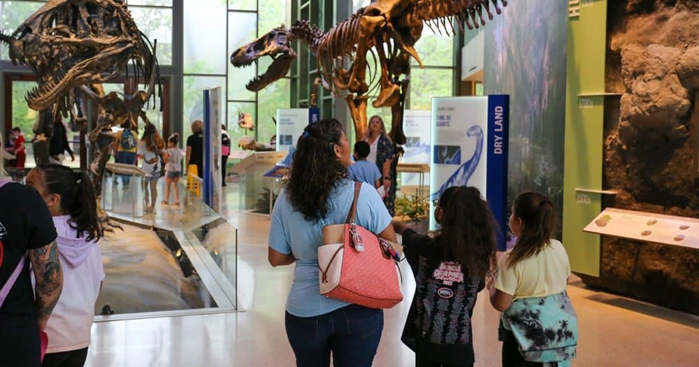 San Antonio Museums – List of 10 Best Attractions including Art, Science, Interactive, Children’s Museums & more!