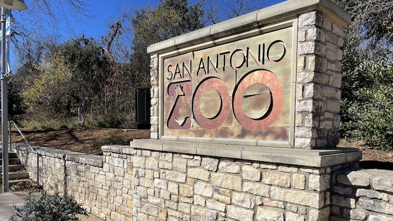 San Antonio Zoo Guide: Hours, Tickets, Coupons, Maps & More