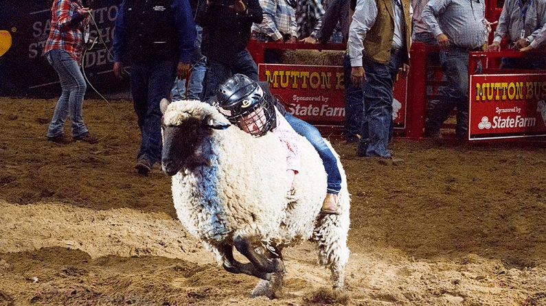 San Antonio Rodeo 2024 - Mutton Bustin'