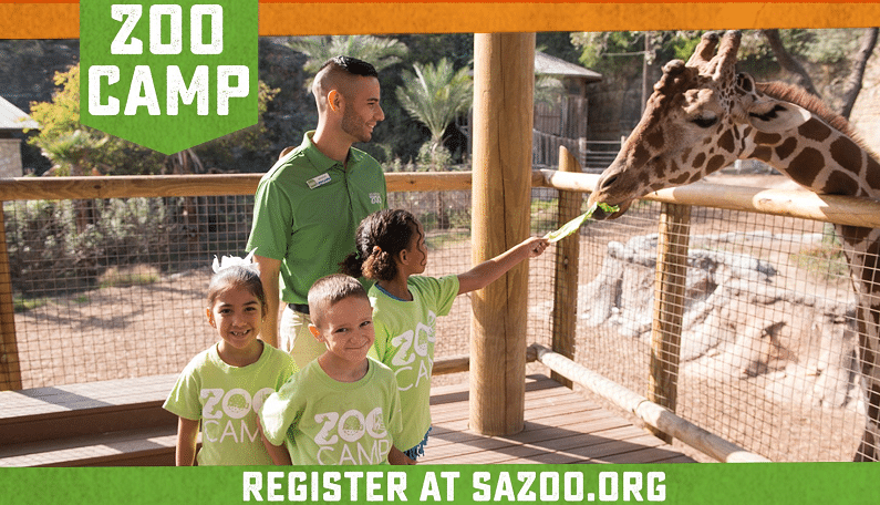 San Antonio Spring Break Camps - San Antonio Zoo