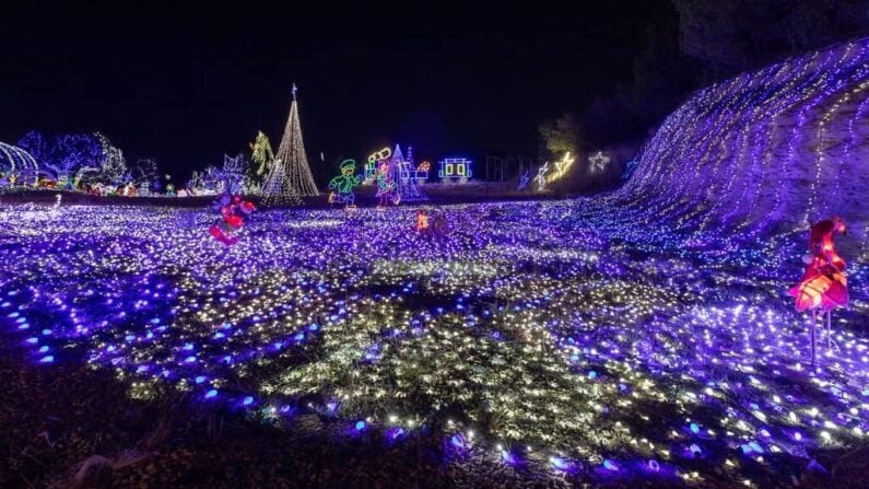 Guide to Boerne Christmas Lights - 6 Dazzling Displays for 2024! 2 Boerne Christmas Lights 2024
