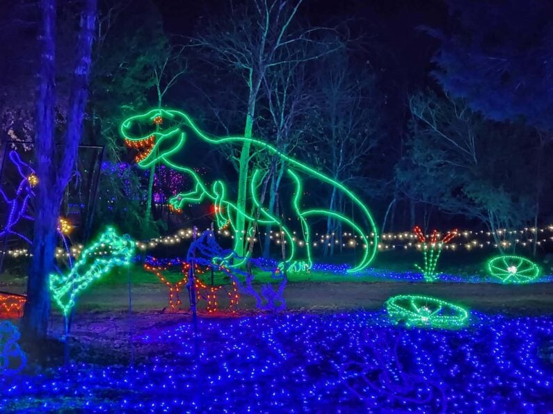 new braunfels lights christmas