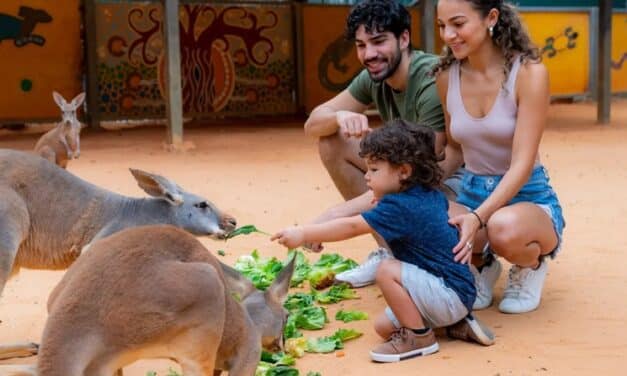 San Antonio Zoo Guide: Hours, Tickets, Coupons, Maps & More