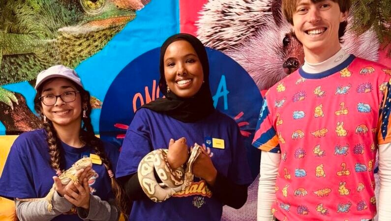 Free & Fun Kids Events in San Antonio August 2025 5 August events in San Antonio for kids | Café & Cuddles: An Exotic Pet Café Experience