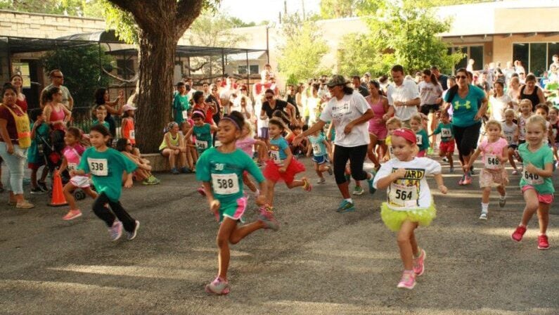 Family Fun Awaits: Best Kids Events in San Antonio September 2025 3 Family events in San Antonio September 2025 - Kids Zoo Run