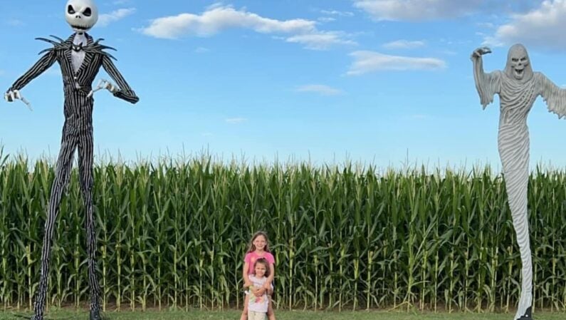 San Antonio corn maze - Circle N Corn Maze & Pumpkin Patch