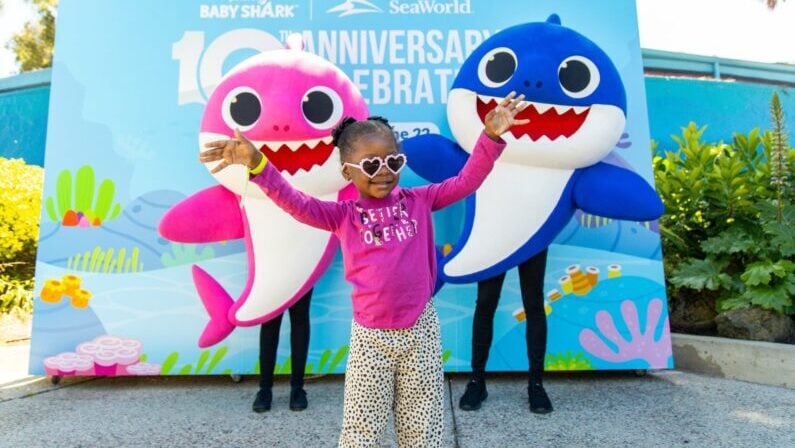 Free and Cheap Events in San Antonio: September 12 - 14 5 Free and cheap events San Antonio September 12 - 14- Baby Shark @ SeaWorld San Antonio