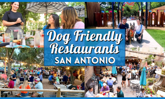 Dog Friendly Restaurants San Antonio