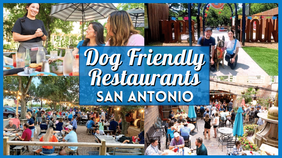 Canine Pleasant Eating places San Antonio (Greatest Patios)