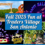 Fall 2025 Fun at Traders Village San Antonio: Pumpkins, Mazes, Halloween Lights!