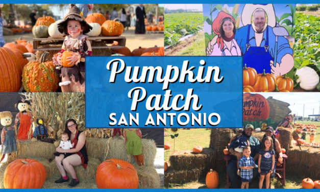 Pumpkin Patch San Antonio – Best Patches & Festivals 2025
