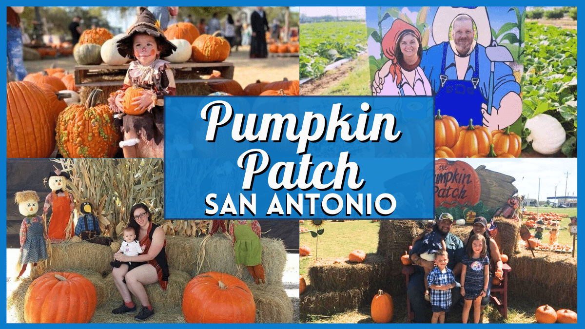 Pumpkin Patch San Antonio – Greatest Patches & Festivals 2025