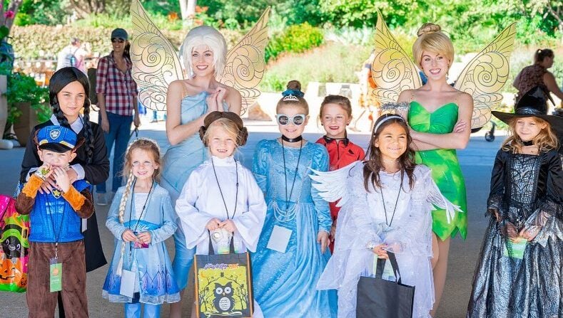 Kids Events in San Antonio in October 2025 - Bibbidi Bobbidi Boo Fest