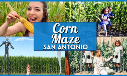 San Antonio Corn Maze: 7 Best Mazes Near the City