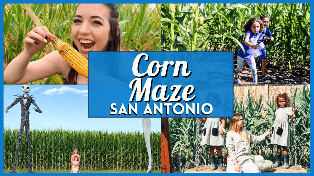 7 Greatest Mazes Close to The Metropolis