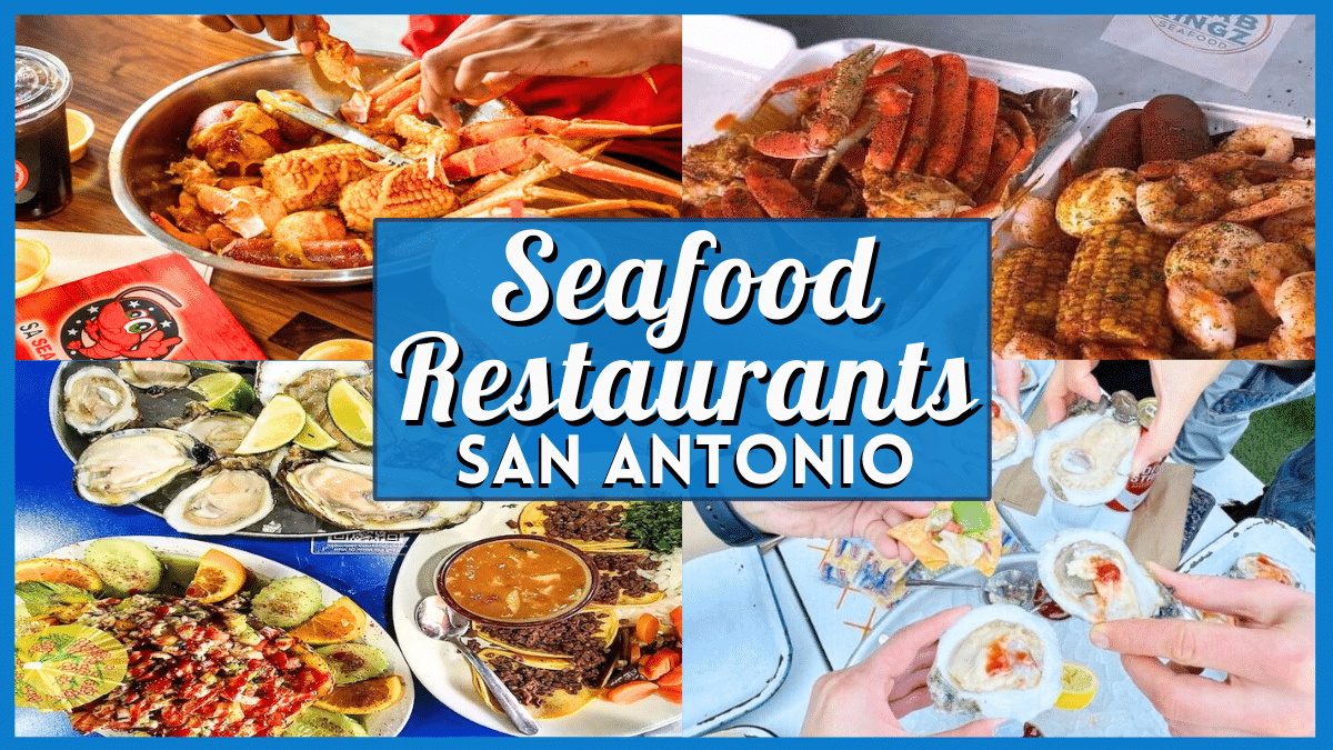 Greatest Seafood Eating places San Antonio 2025 Replace