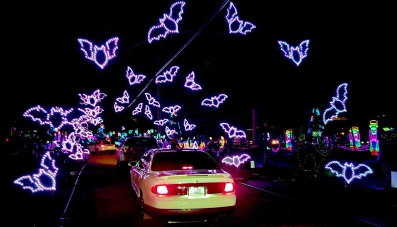 Fall 2025 Fun at Traders Village San Antonio - Enchanted Lights