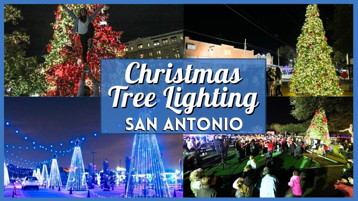 Christmas Tree Lighting San Antonio 2025: Greatest Occasions