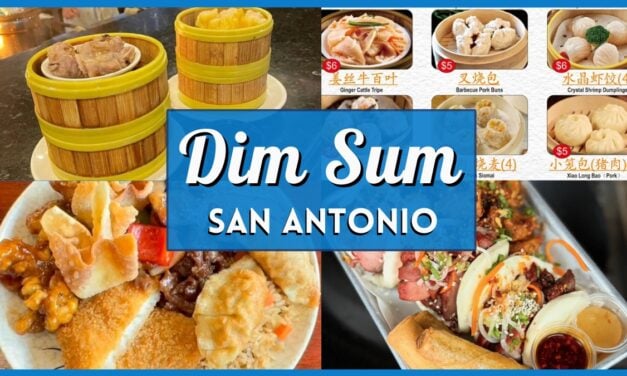 Dim Sum San Antonio: Top Places to Go for Delicious Brunch