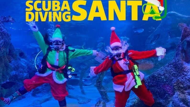 Kids events in San Antonio in December 2025 - Scuba Diving Santa at SEA LIFE San Antonio
