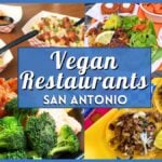 Vegan Restaurants San Antonio: 10 Best Plant-Based Spots