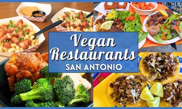 Vegan Restaurants San Antonio: 10 Best Plant-Based Spots