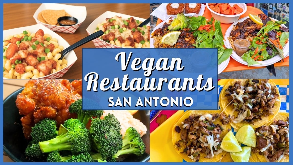 Vegan Eating places San Antonio: 10 Greatest Plant-Based mostly Spots Vegan Eating places San Antonio: 10 Greatest Plant-Based mostly Spots