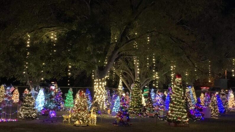 christmas tree lighting san antonio - Merry On Main