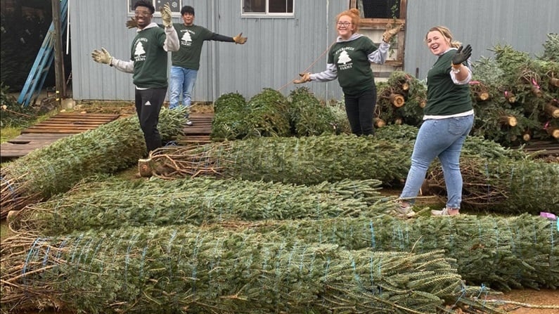 Christmas Trees in San Antonio - Evergreen Farms Christmas Trees