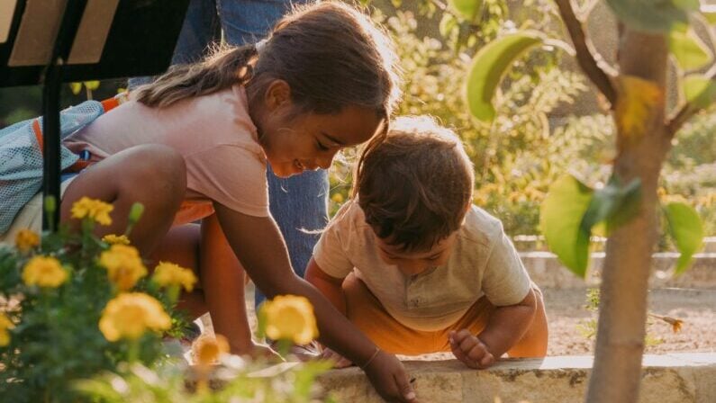 Kids events in San Antonio in January 2026 - Family Workshop: Watercolor Pollinators