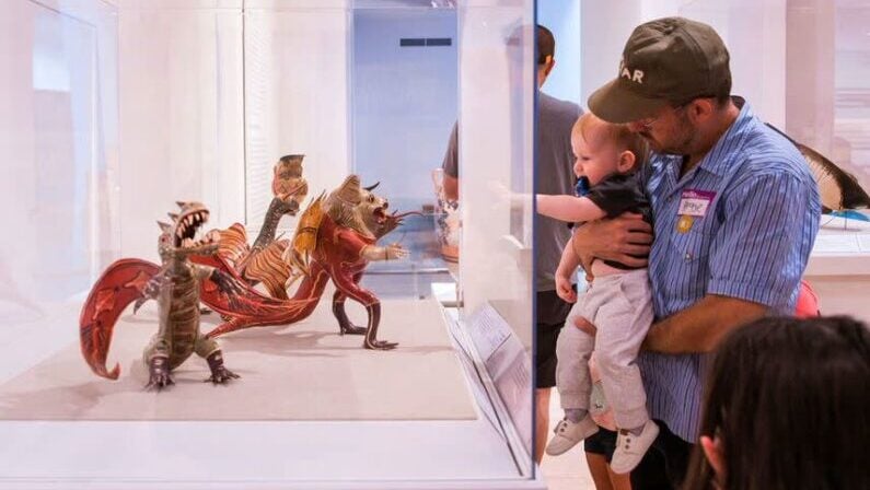 San Antonio picks Jan 12 to 15 2026 - Kids' Studio: Revealing Wonders