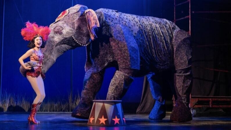 San Antonio picks Jan 19 to 22 2026 - Broadway in San Antonio presents Water for Elephants