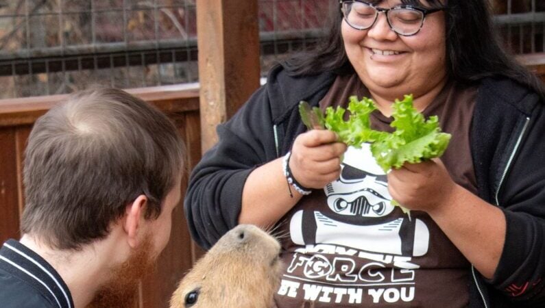 Date night ideas New Braunfels - Animal World & Snake Farm Zoo