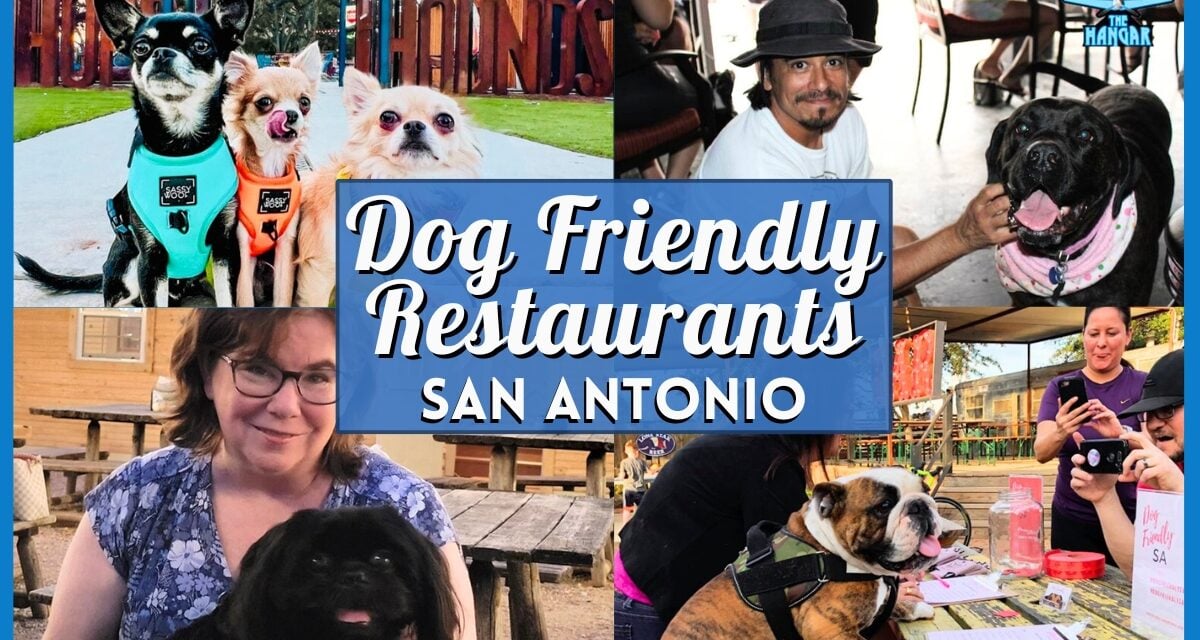 15 Best Dog Friendly Restaurants San Antonio for You and Your Pup
