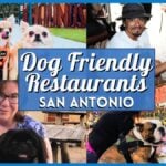 15 Best Dog Friendly Restaurants San Antonio for You and Your Pup