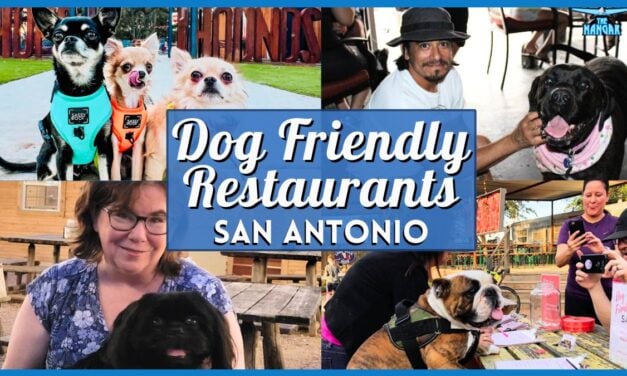 15 Best Dog Friendly Restaurants San Antonio for You and Your Pup