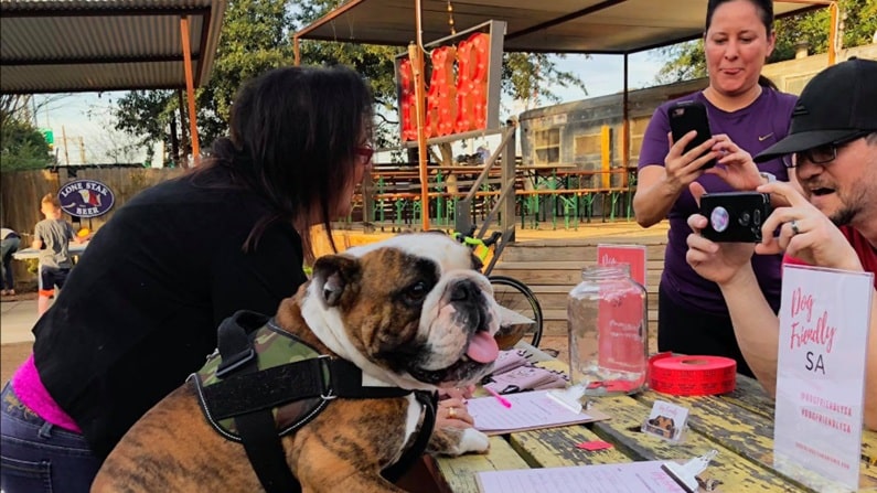 Dog friendly restaurants San Antonio - Burleson Yard Beer Garden