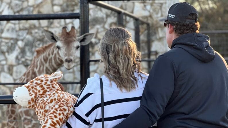 Date Night Ideas Schertz - Natural Bridge Wildlife Ranch