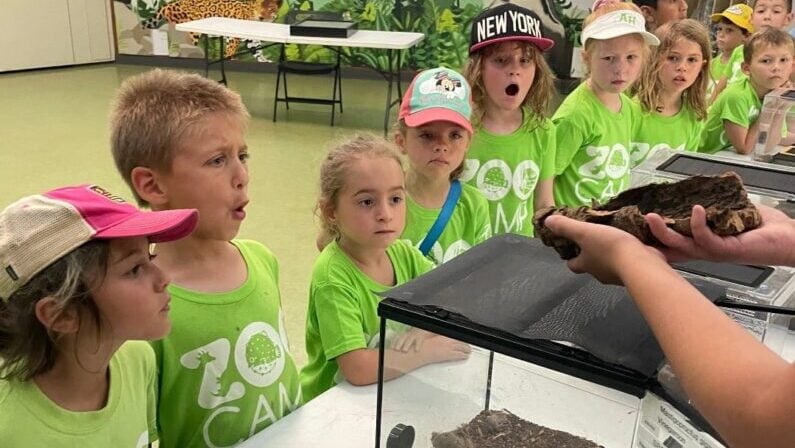 spring break camps San Antobio - San Antonio Zoo: Spring Break Nature Adventure