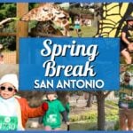 San Antonio Spring Break 2026 Guide – 18 Fun Events For An Unforgettable Week!
