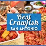 The Absolute Best Crawfish in San Antonio: Top Spots for a Mudbug Boil
