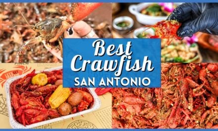 The Absolute Best Crawfish in San Antonio: Top Spots for a Mudbug Boil
