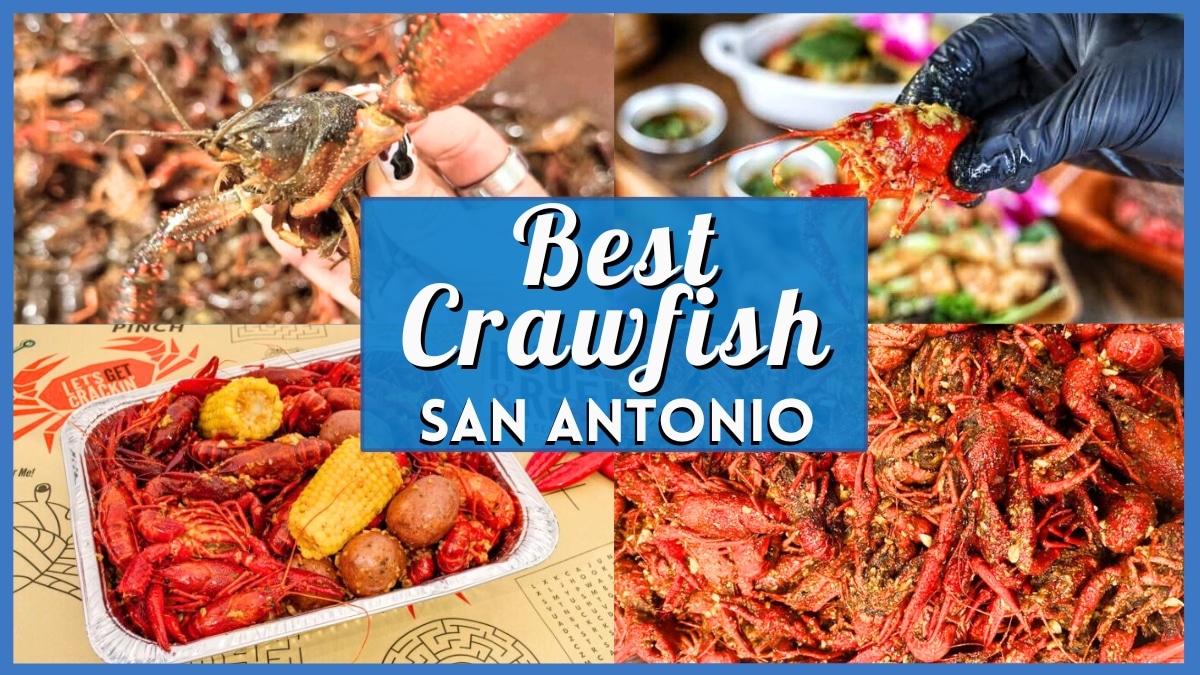 Finest Crawfish In San Antonio: High-Rated Mudbug Boils (2026)