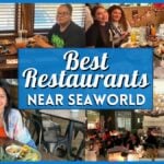 Restaurants Near SeaWorld San Antonio – 10 Best Spots for Foodies