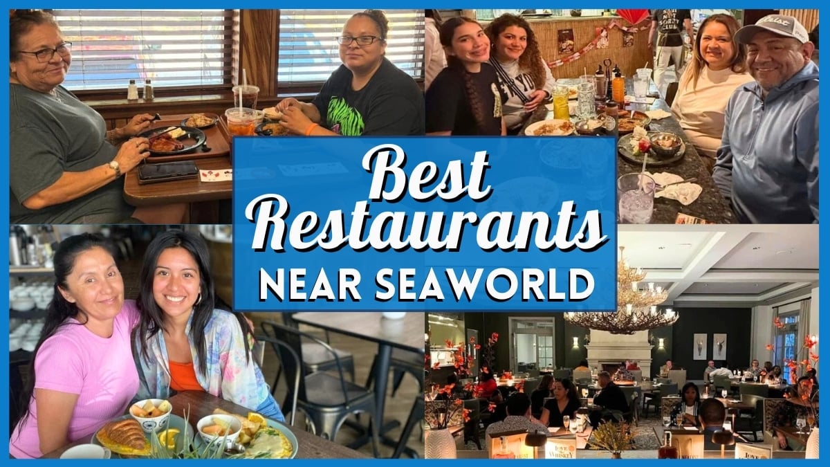 10 Greatest Eating places Close to SeaWorld San Antonio For Each Foodie