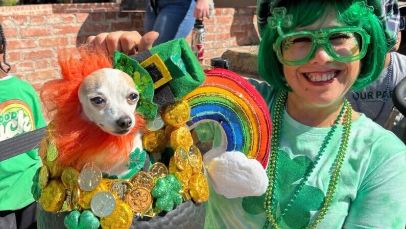 St Patrick's day events San Antonio - Lucky Dog Fashion Show